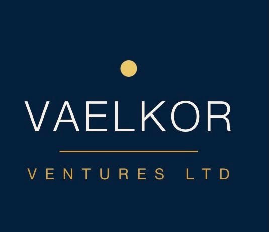 Vaelkor Ventures Ltd Logo